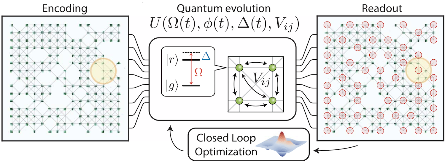 Rydberg atom array experiment